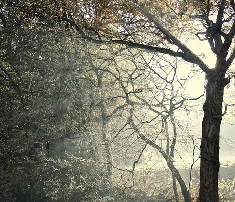 mystical-3838209_960_720