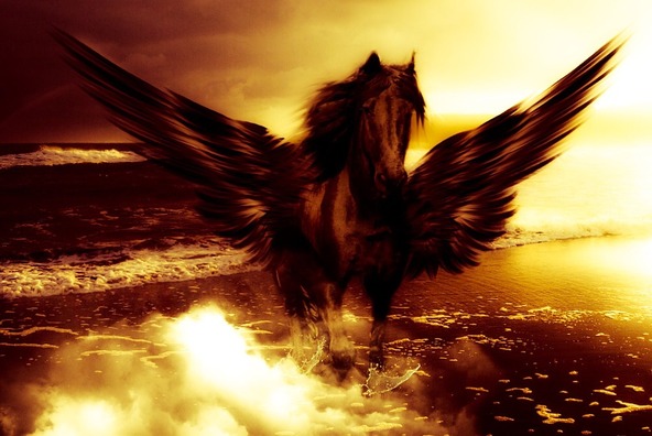 pegasus-696727_960_720
