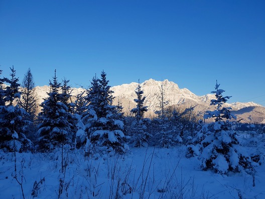 winter-4517997_960_720