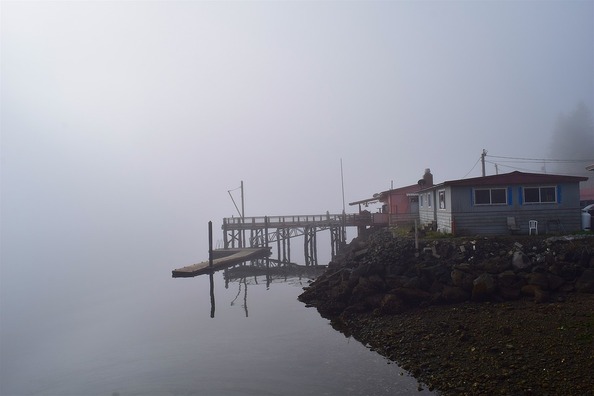 fog-3748030_960_720