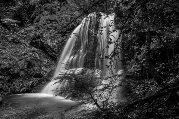 forest-2079806_960_720