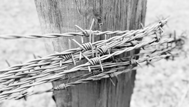 barbed-wire-4041811_960_720
