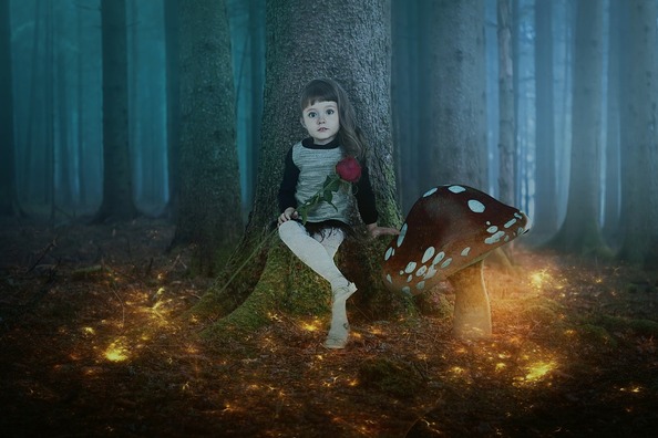 fantasy-4124722_960_720
