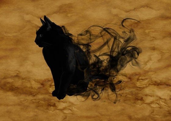 cat-1002850_960_720