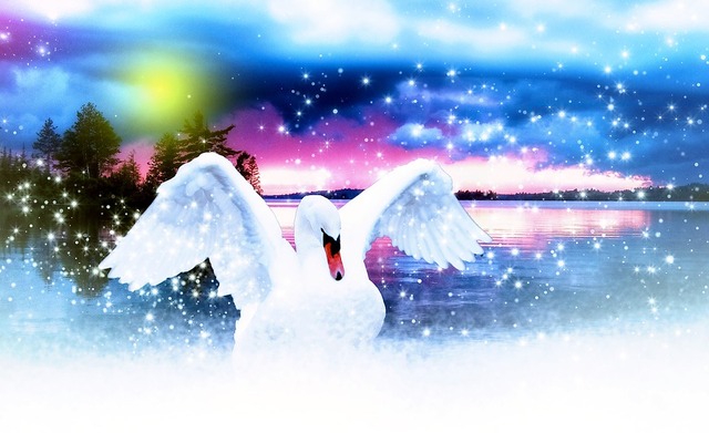 swan-653872_960_720
