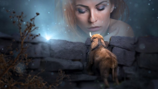 fantasy-2945557_960_720