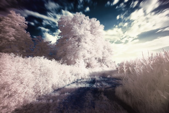 infrared-407191_960_720