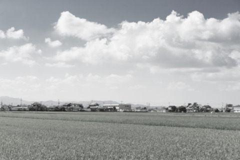 tachiaraiDSC03686_TP_V