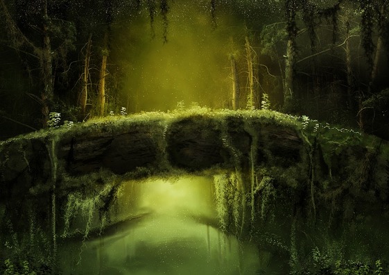 forest-3426921_960_720