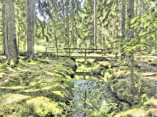 magic-forest-367470_960_720