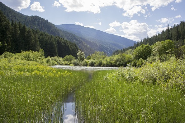 landscape-2497772_960_720