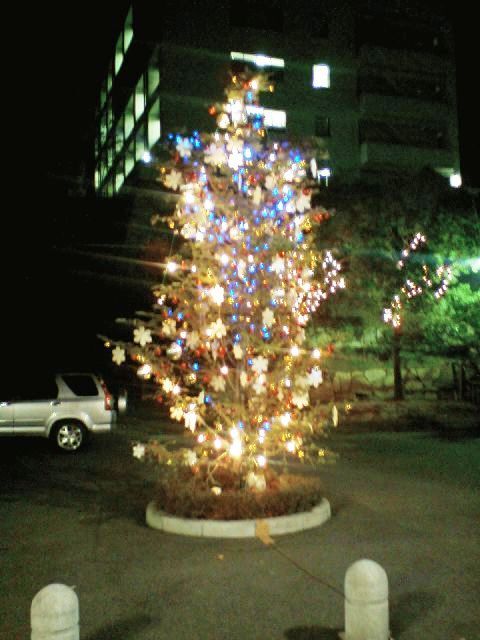 クリスマス直前 イルミネーションスペシャル 07 岡山市内 編 豆八郎の鉄 バス 街並みフォトライブラリー クリスマス直前 イルミネーションスペシャル 07 岡山市内 編 豆八郎の鉄 バス 街並みフォトライブラリー