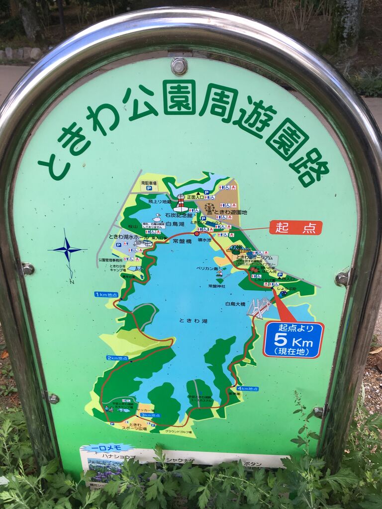 ときわ遊園地 ときわ遊園地｜観光スポット｜【公式】山口県観光/旅行サイト