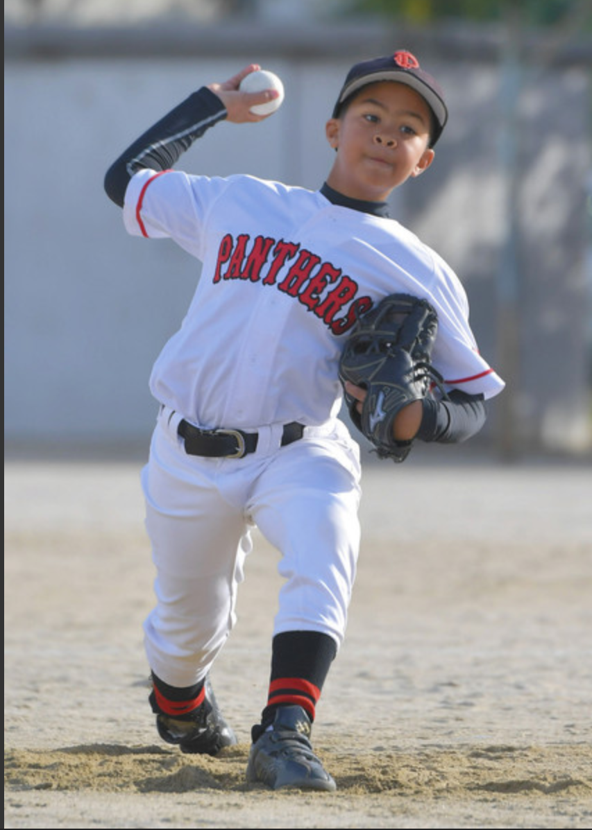 Baseball Days なんjおんj 朗報 ビシエド 日本に永住wwwwxwwwwxwwwwxwwwwxwwwwxwwww