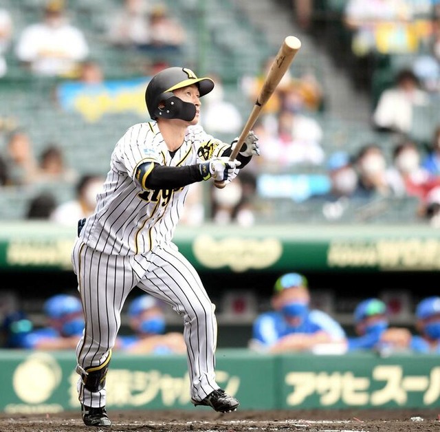 chikamoto