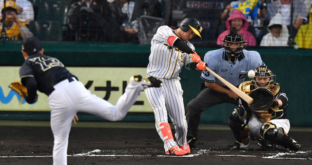 chikamoto