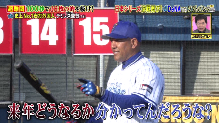 バリ様専元横浜DeNAベイスターズ梶谷隆幸選手実使用バット go-optic.cl