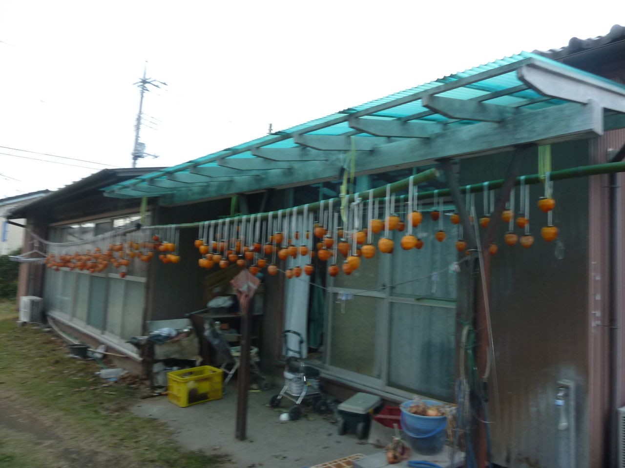 イメージ 6