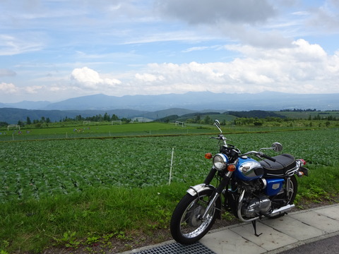 DSC01584