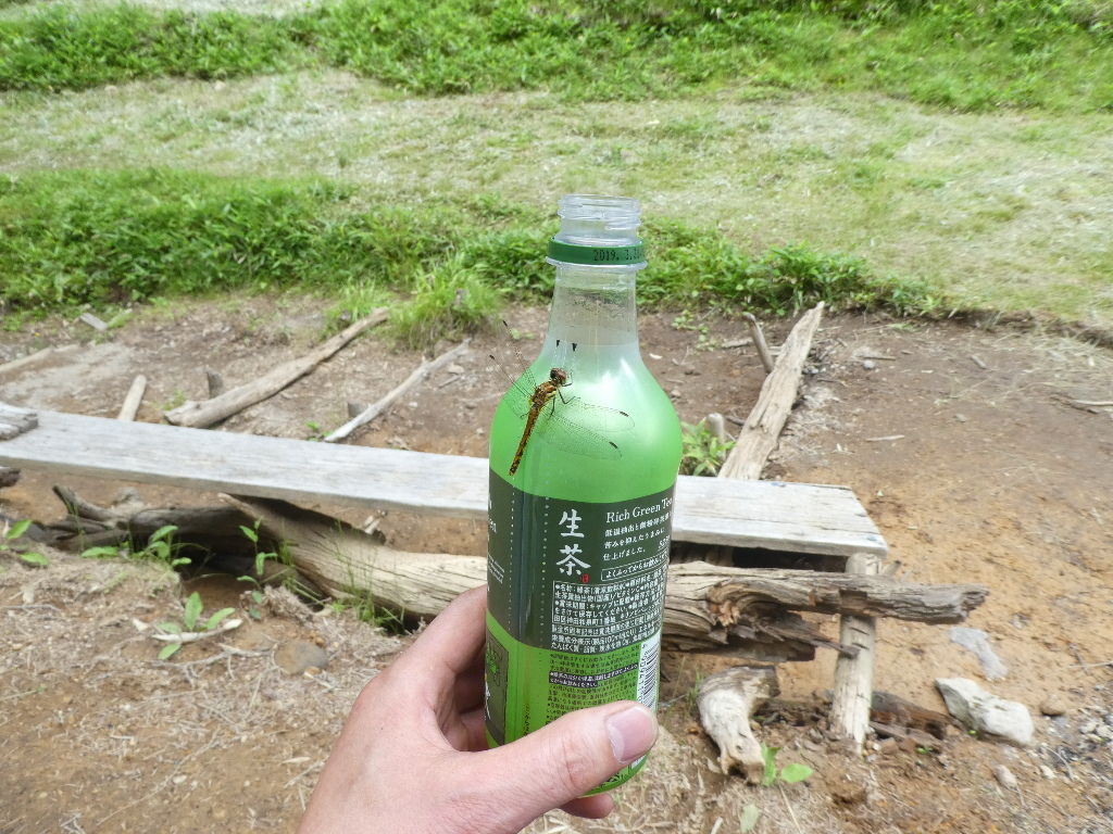 イメージ 4