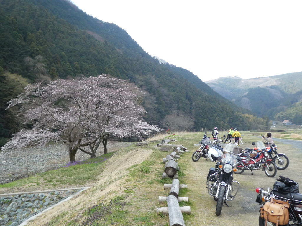 イメージ 3