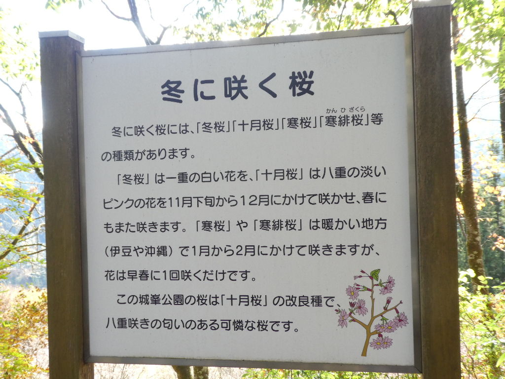 イメージ 4