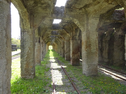 DSC01251
