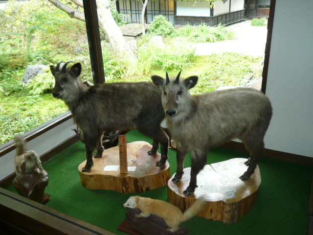 イメージ 4
