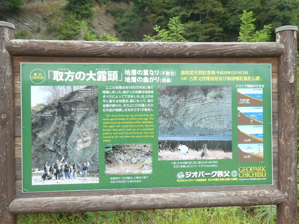イメージ 4