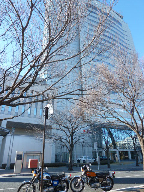 イメージ 7