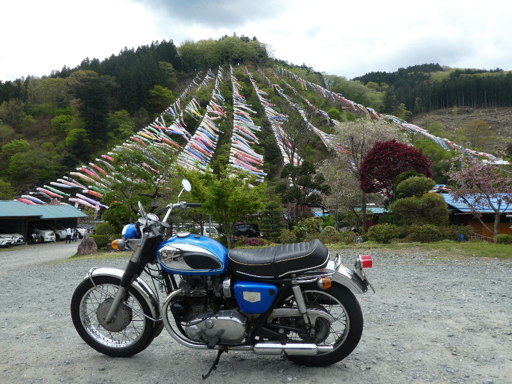 イメージ 3