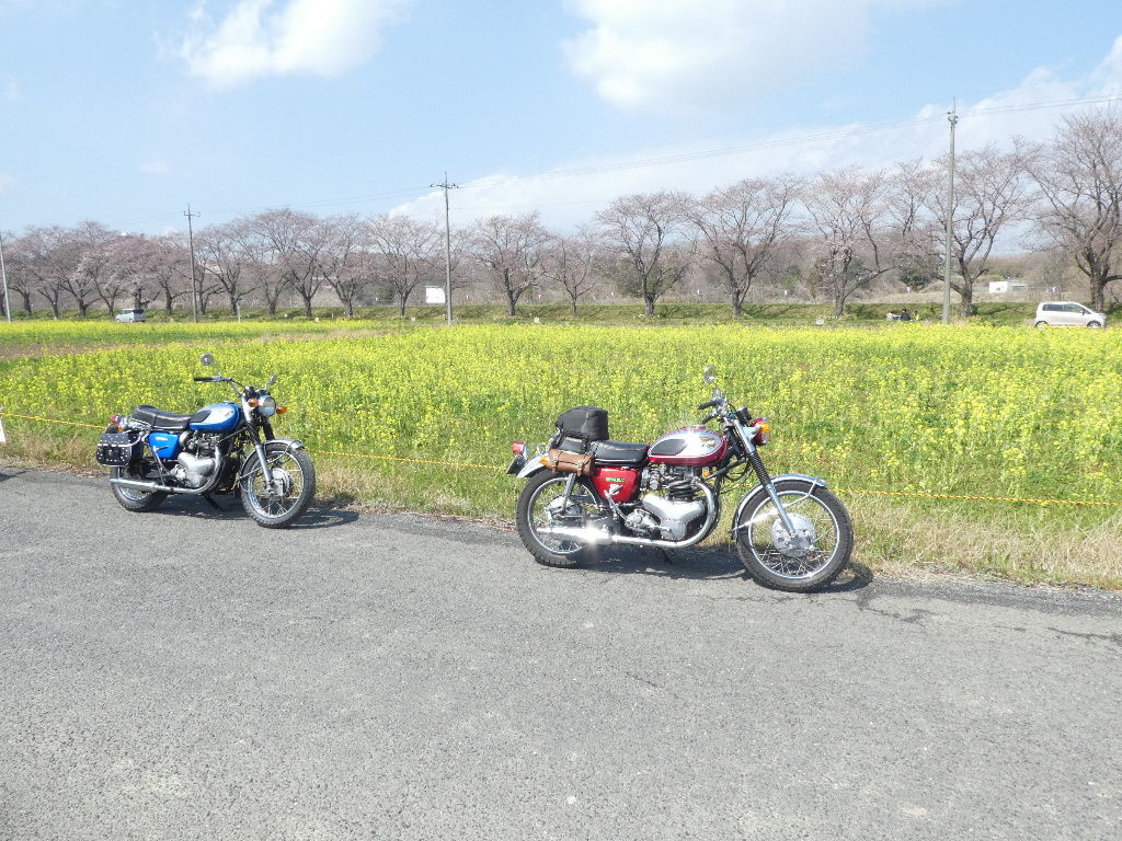 イメージ 6