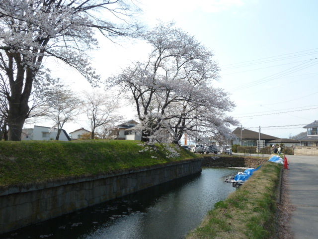 イメージ 6