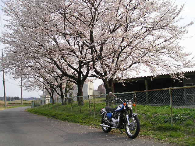 イメージ 1