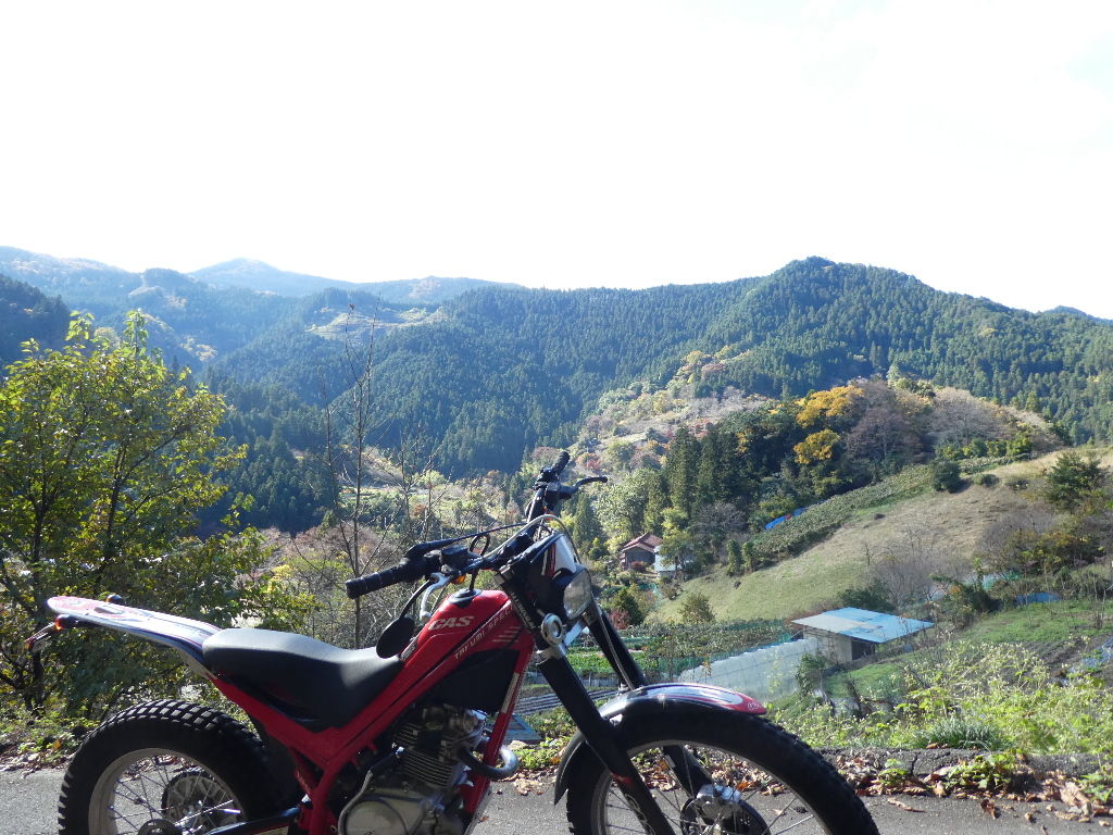 イメージ 9