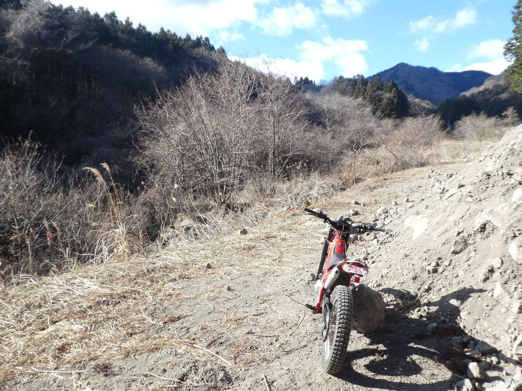 イメージ 5
