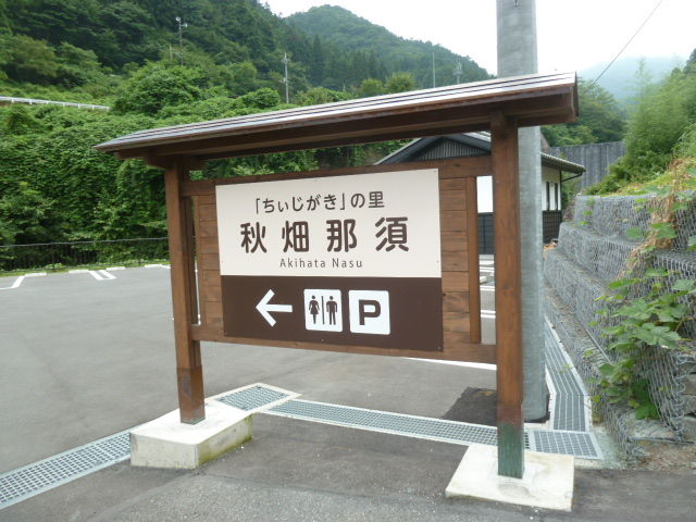イメージ 3