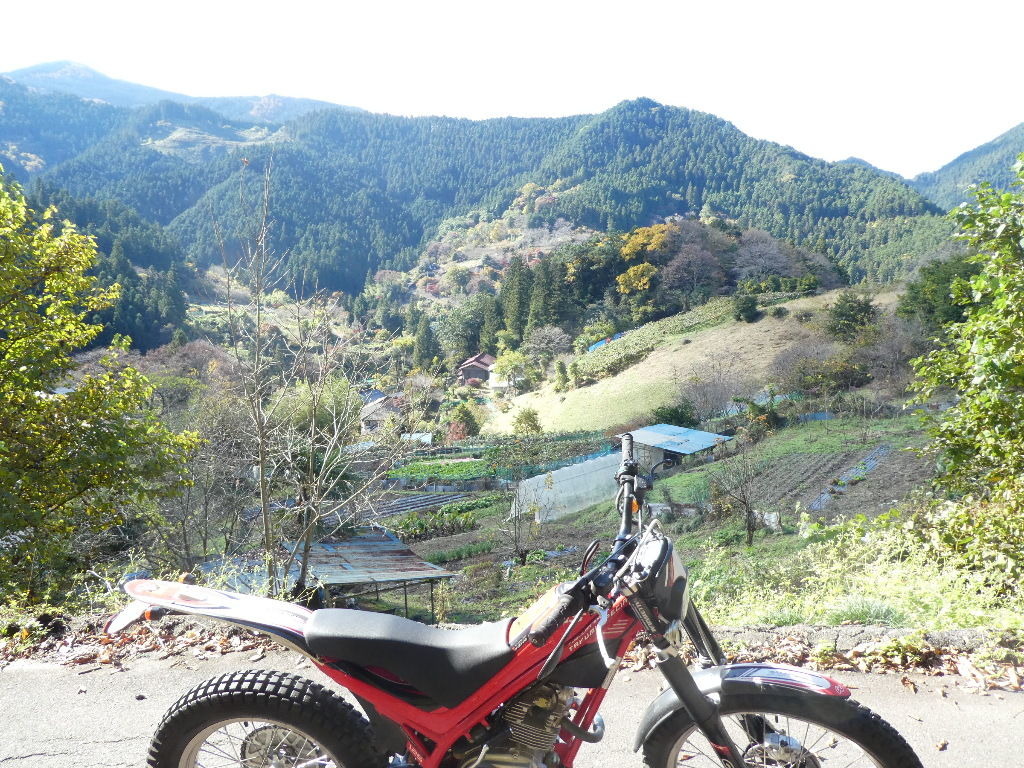 イメージ 1