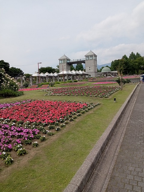 DSC_1064