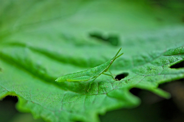 ��������֥Хå�IMG_8233