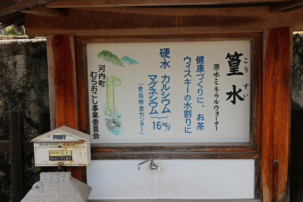 £±£µ¤³¤¦¤¹¤¤¢IMG_0408