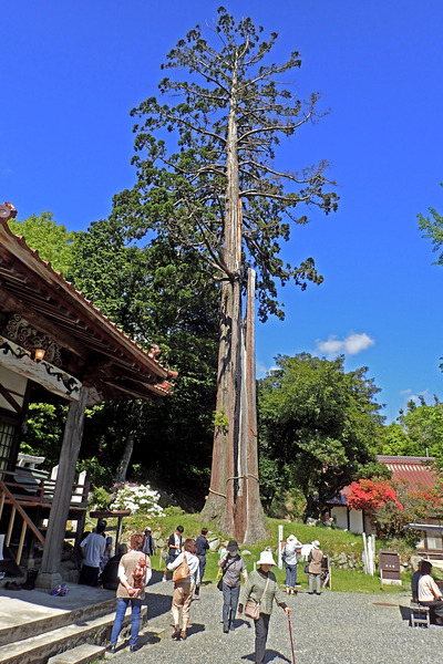 £±£²Í뤬Íî¤Á¤¿¿ùP5040983