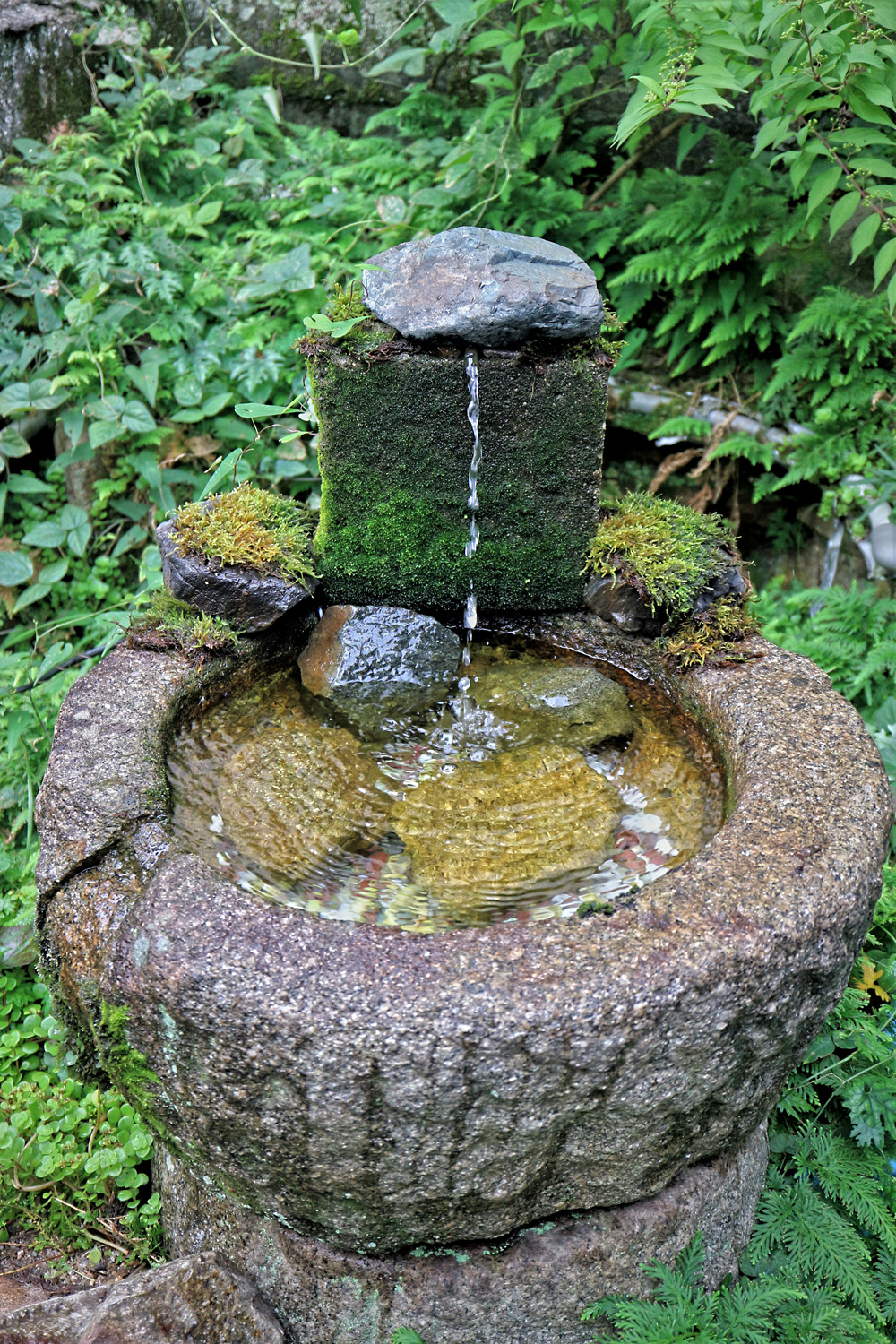 手水鉢 呉のメバル師 手水鉢 呉のメバル師