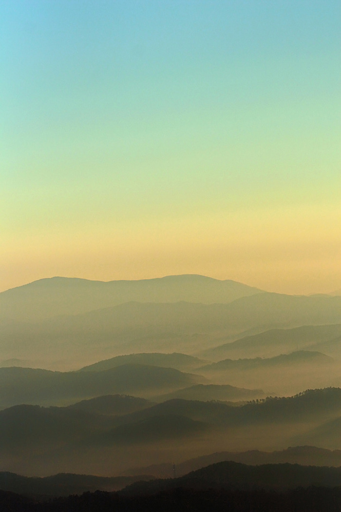 »³ÇȤÎÉ÷·Ê¤¤