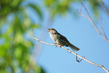 ����������