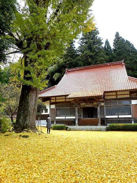 £±£²Ä¹¹¾»ûPB191180