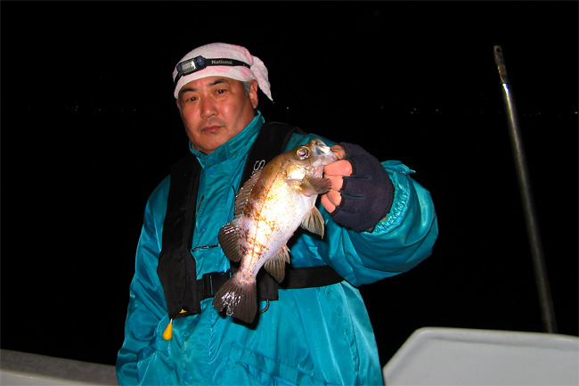 ɦ����λ䡦�������Ϥ�