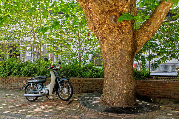 £±£µ¥á¥¤¥È¤ÈÌÚIMG_0879