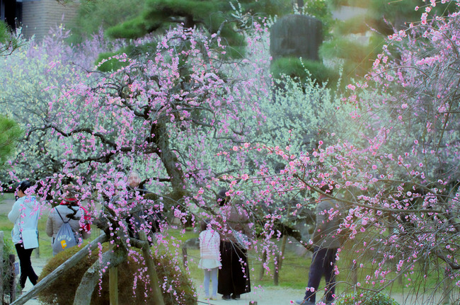 �����̷ʱୢIMGP0064