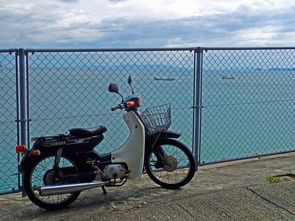 £±£²¥ä¥Þ¥Ï¥á¥¤¥ÈP9030631